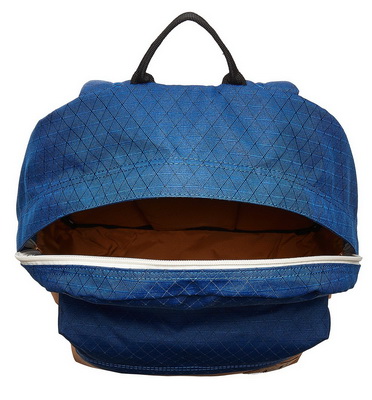 Dakine 365 21l scout