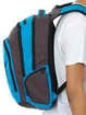 рюкзак Dakine 101 29L blue