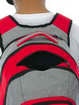 рюкзак Dakine 101 29L red