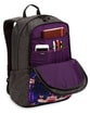 рюкзак Dakine Alexa 24l kassia