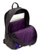 рюкзак Dakine Alexa 24l kassia