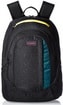 рюкзак Dakine Garden 20L spradical