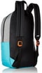 рюкзак Dakine Manual multicolor