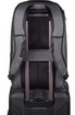 рюкзак Dakine Network 30L carbon